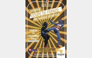 COUPE DE FRANCE AMV INTERSTYLES
